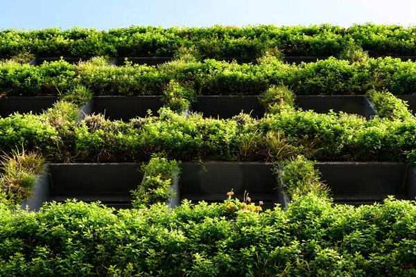 Closeup of an apartment building with vertical garden