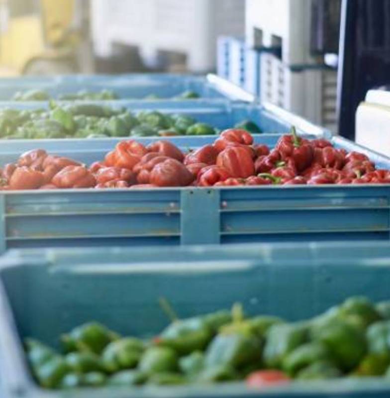 FRICK® Refrigeration