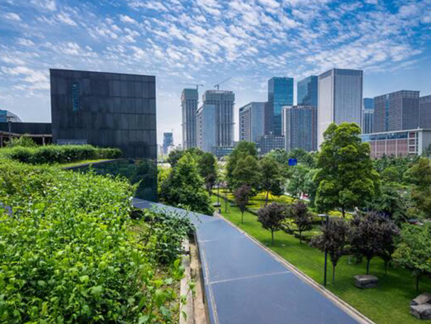 Skyscrapers across a park with a partly cloudy sky