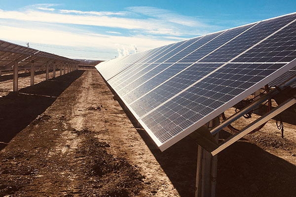 Solar panels lined up in a solar farm