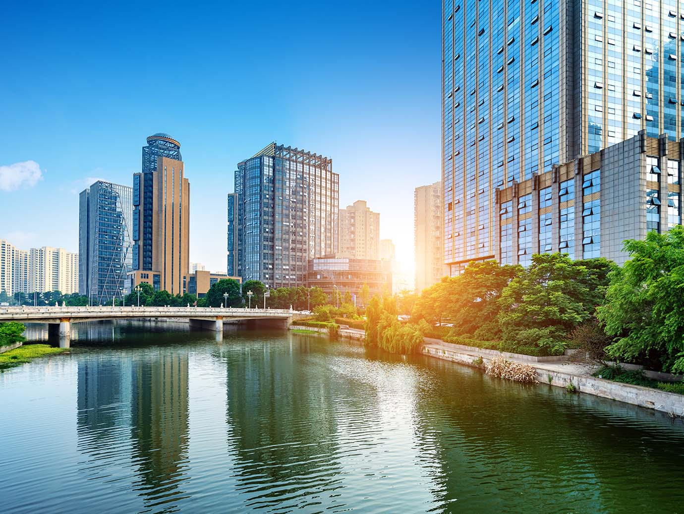 Skyscrapers on the banks of a water body