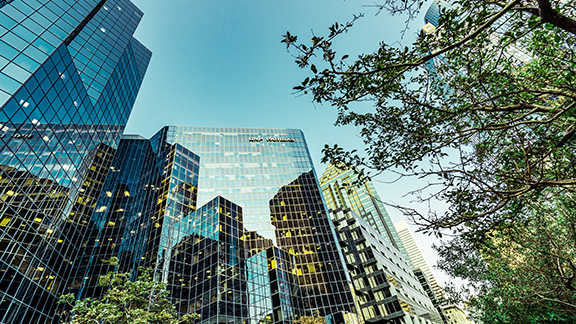 Frog's-eye view of corporate buildings and trees